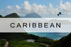 Cruise offers