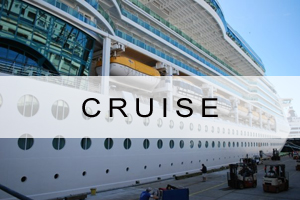 Cruise offers