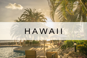 Cruise offers